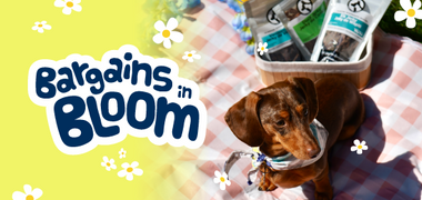 Sale Banner Image