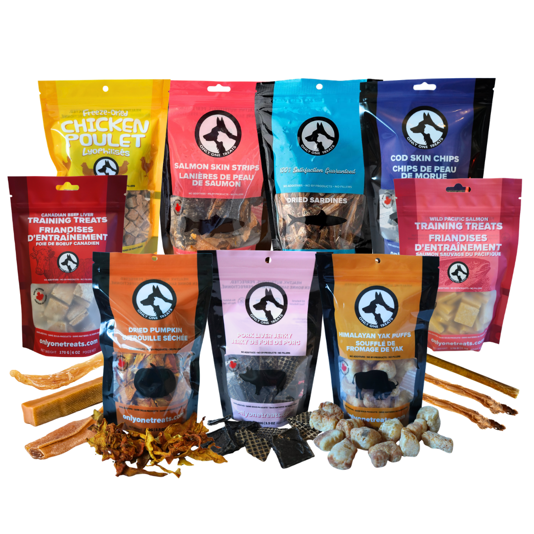 Mighty Big Box - Only One Treats - Dog Treat Box - Variety Box - Bulk Dog Treats