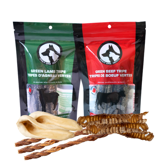 Chomper's Crunch Box - Dog Chew Box - Only One Treats