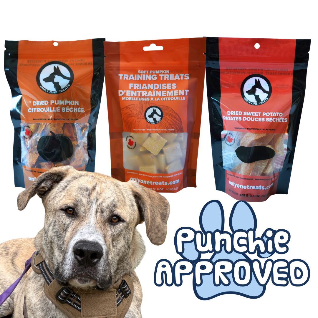 Punchie's Pumpkin Platter - Pumpkin - Sweet Potato - Only One Treats