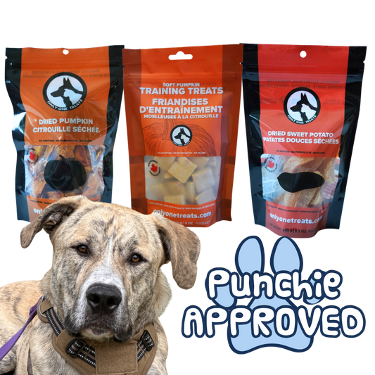 Punchie's Pumpkin Platter - Pumpkin - Sweet Potato - Only One Treats