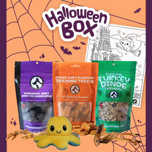 Halloween-themed pet product box with treats and a toy on an orange background.