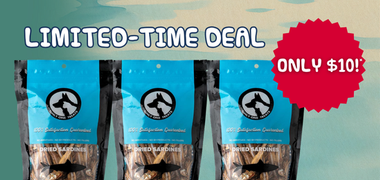 Sale Banner Image
