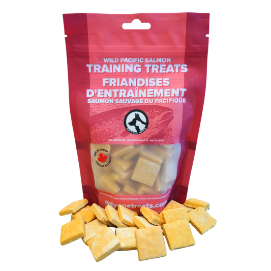 Salmon Training Treats - For Dogs - Dog Treats - Only One Treats