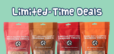 Sale Banner Image