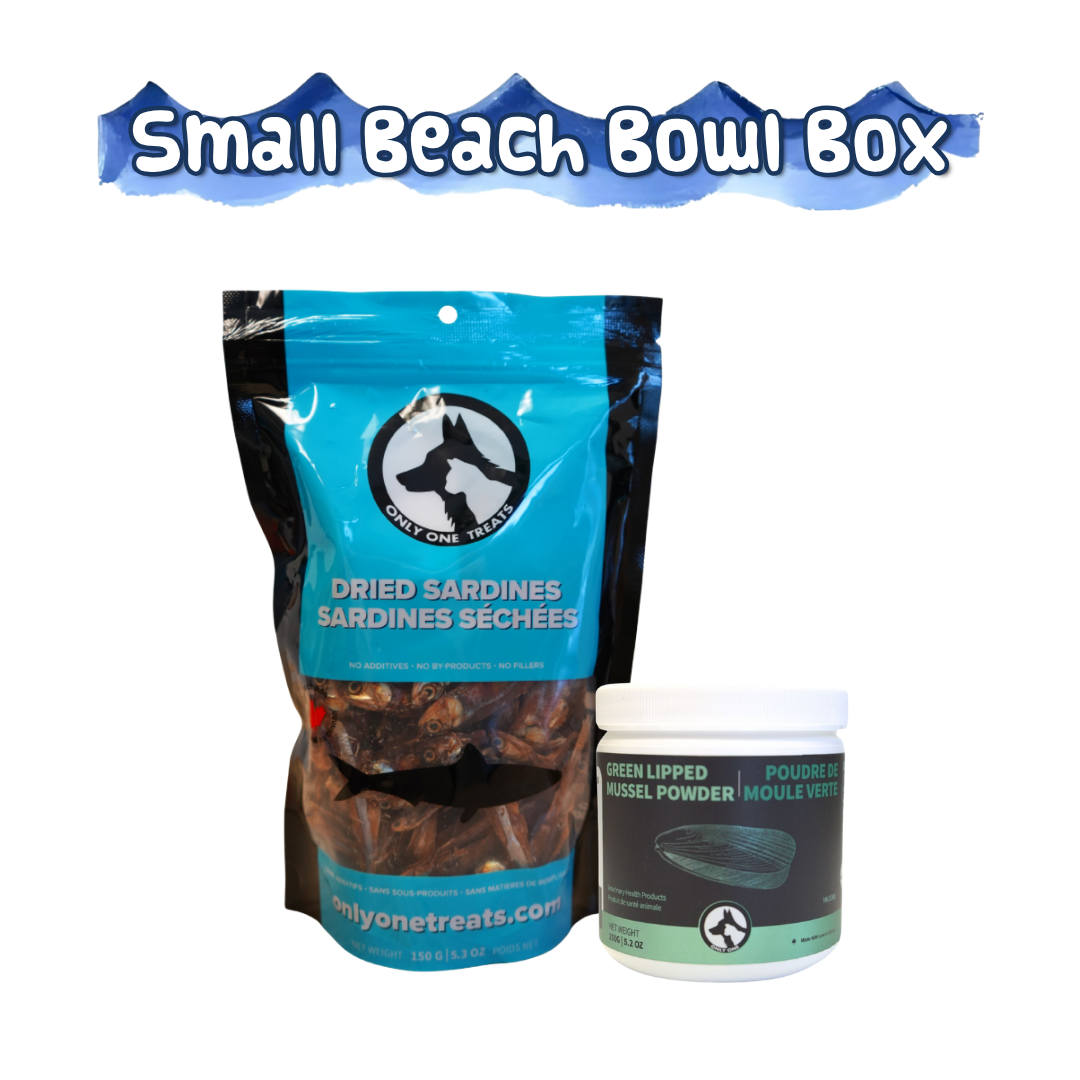 Small Beach Bowl Box - Dried Sardines - Green Lipped Mussel Powder - Only One Treats
