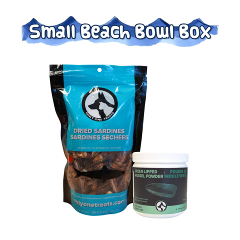 Small Beach Bowl Box