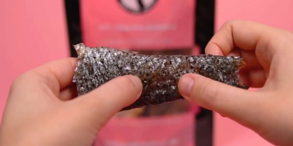 Person holding dried sardine's