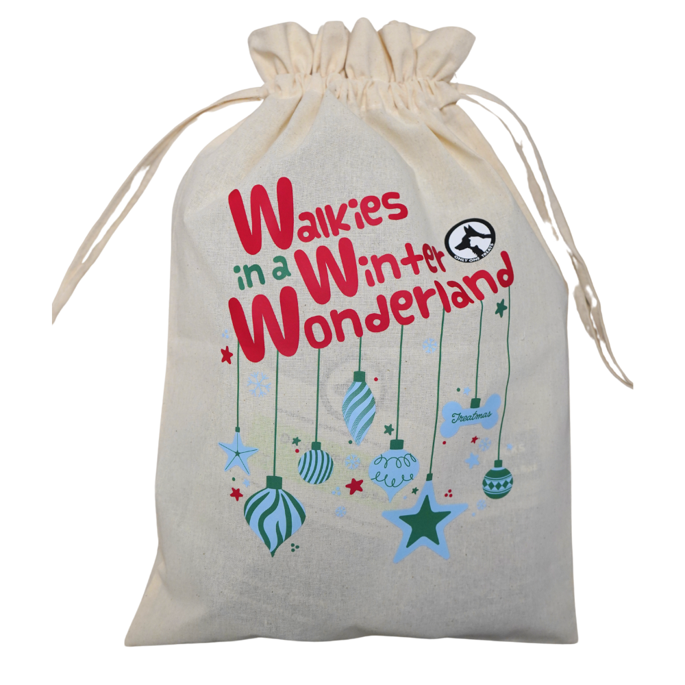 "Walkies in a Winter Wonderland" - Holiday Gift bag