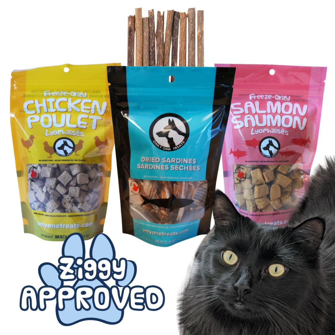 Cat Treat Chew Box - Only One Treats - Sardines - Chicken - Salmon - Silvervine