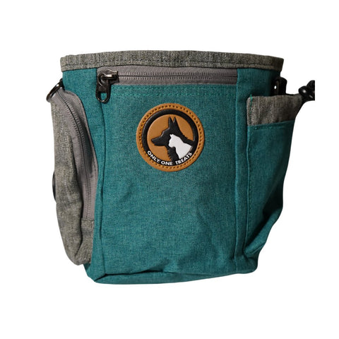 Large Treat Pouch - Teal