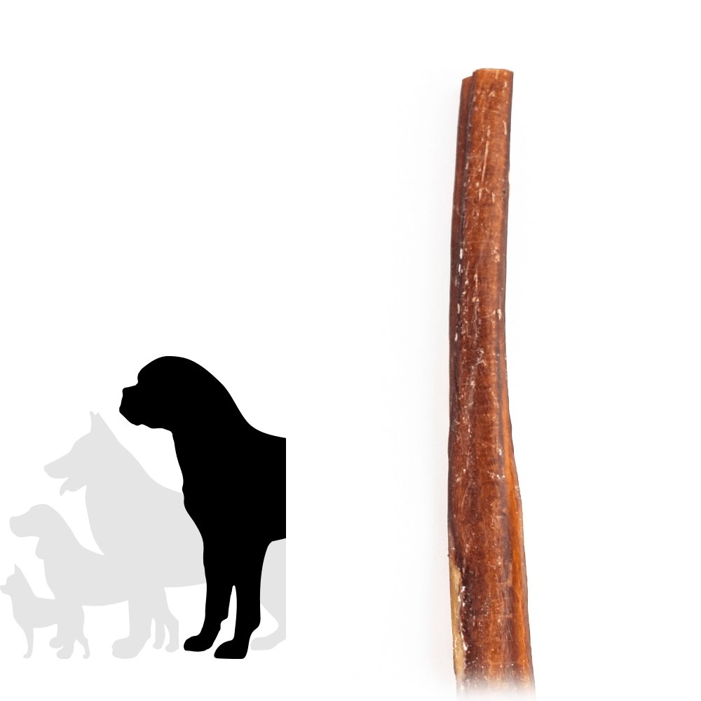 12" Monster Bully Stick - Only One Treats