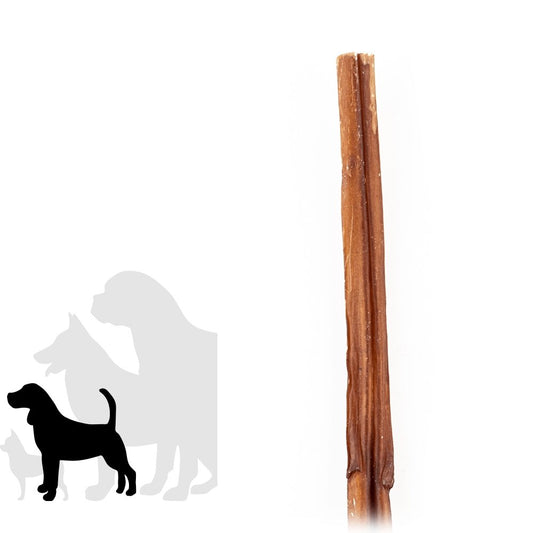 12" Standard Bully Stick - Only One Treats