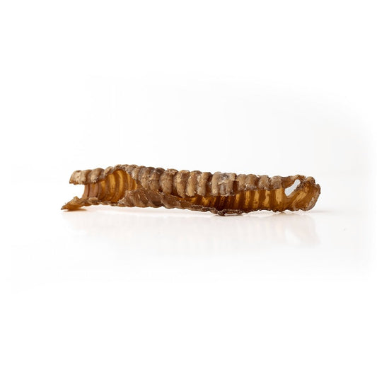 5-7" Lamb Trachea - Only One Treats