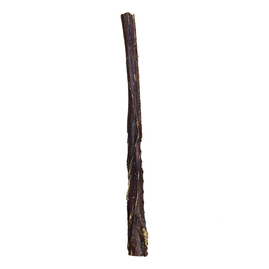 5-7" Pork Pizzle Stick - Only One Treats