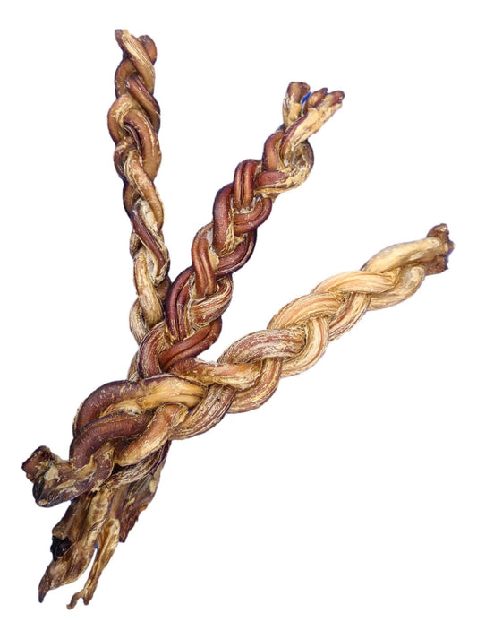 5-8" Braided Lamb Pizzle Stick - Only One Treats