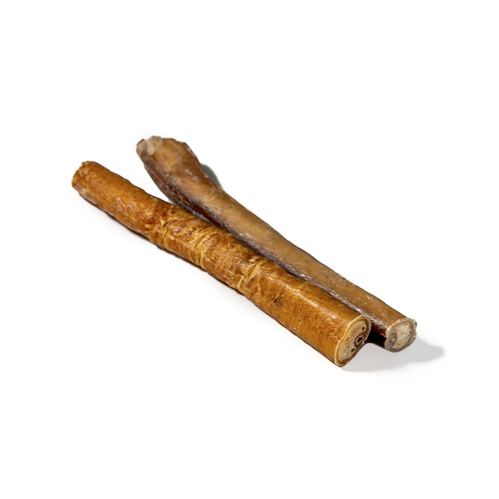 6" Jumbo Bully Stick - Only One Treats
