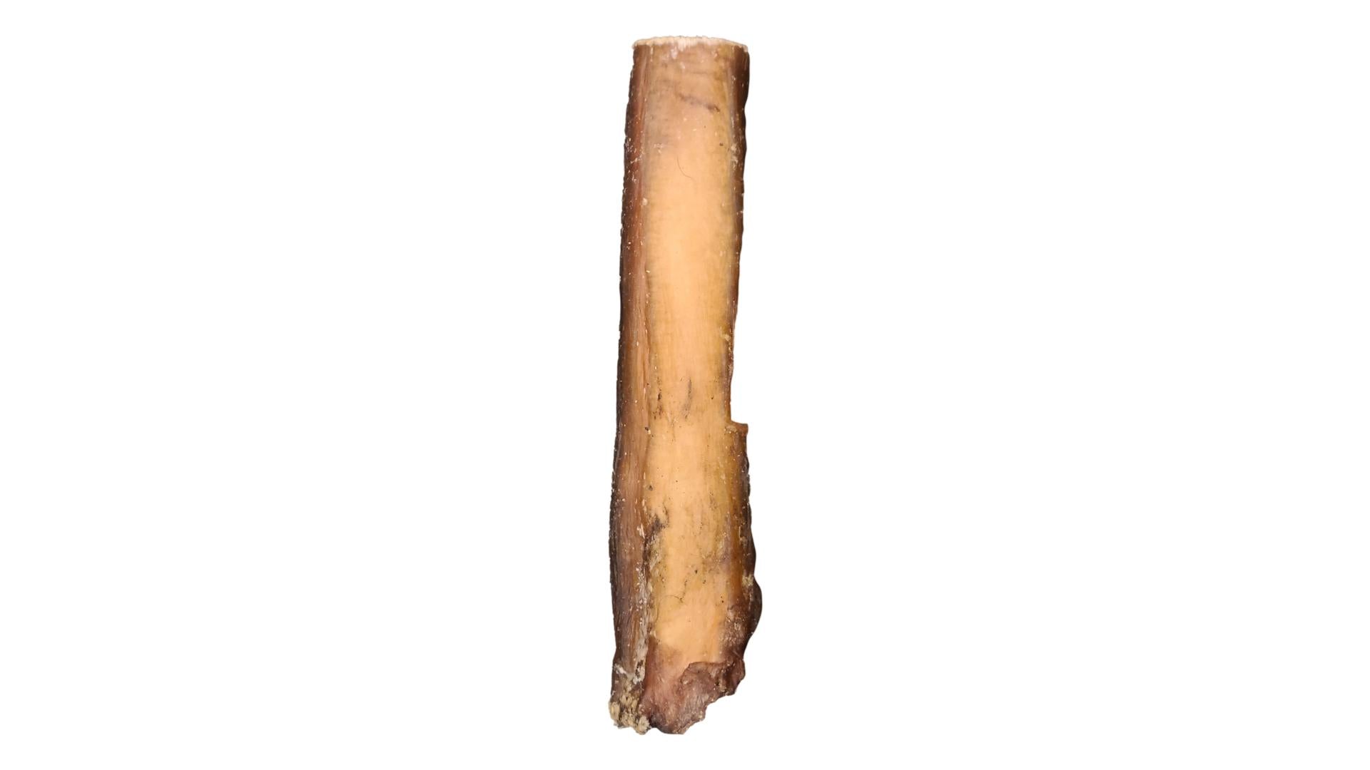 6" Monster Bully Stick - Only One Treats