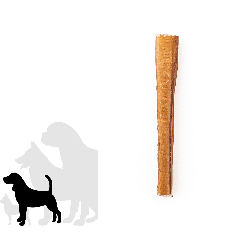 6" Standard Bully Stick - Only One Treats