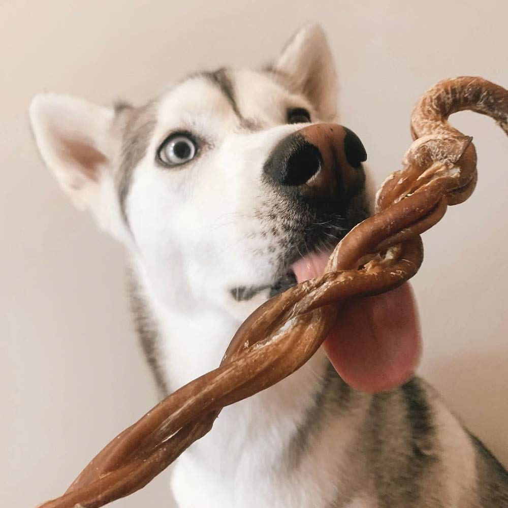 8 11 Braided Lamb Pizzle Stick