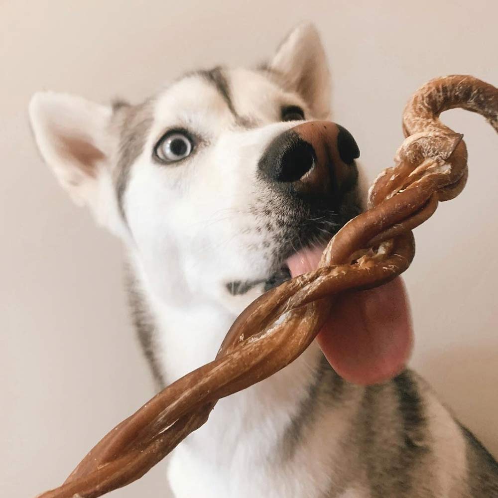 8-11" Braided Lamb Pizzle Stick - Only One Treats
