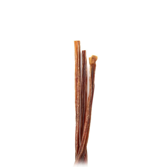 8" Veal Pizzle Stick - Only One Treats