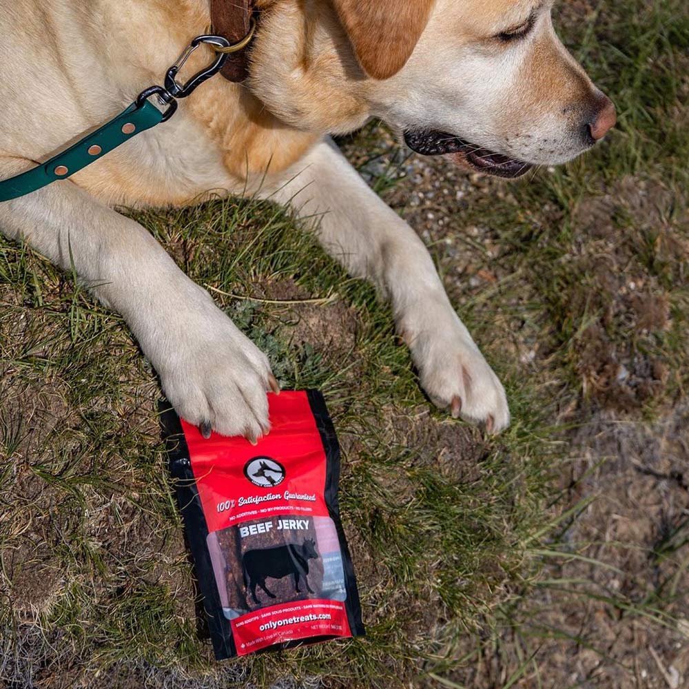 Beef Jerky 56g - Only One Treats