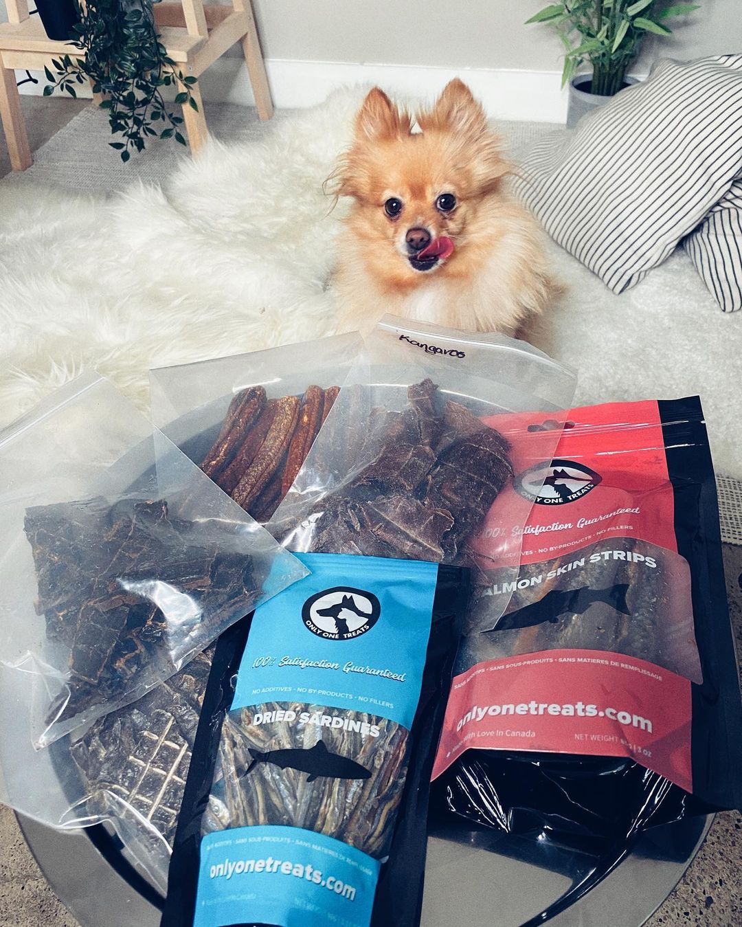 Charcuterie Treat Box - Only One Treats
