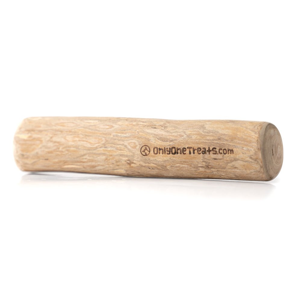 Extra-Large Coffee Wood Chew - Only One Treats