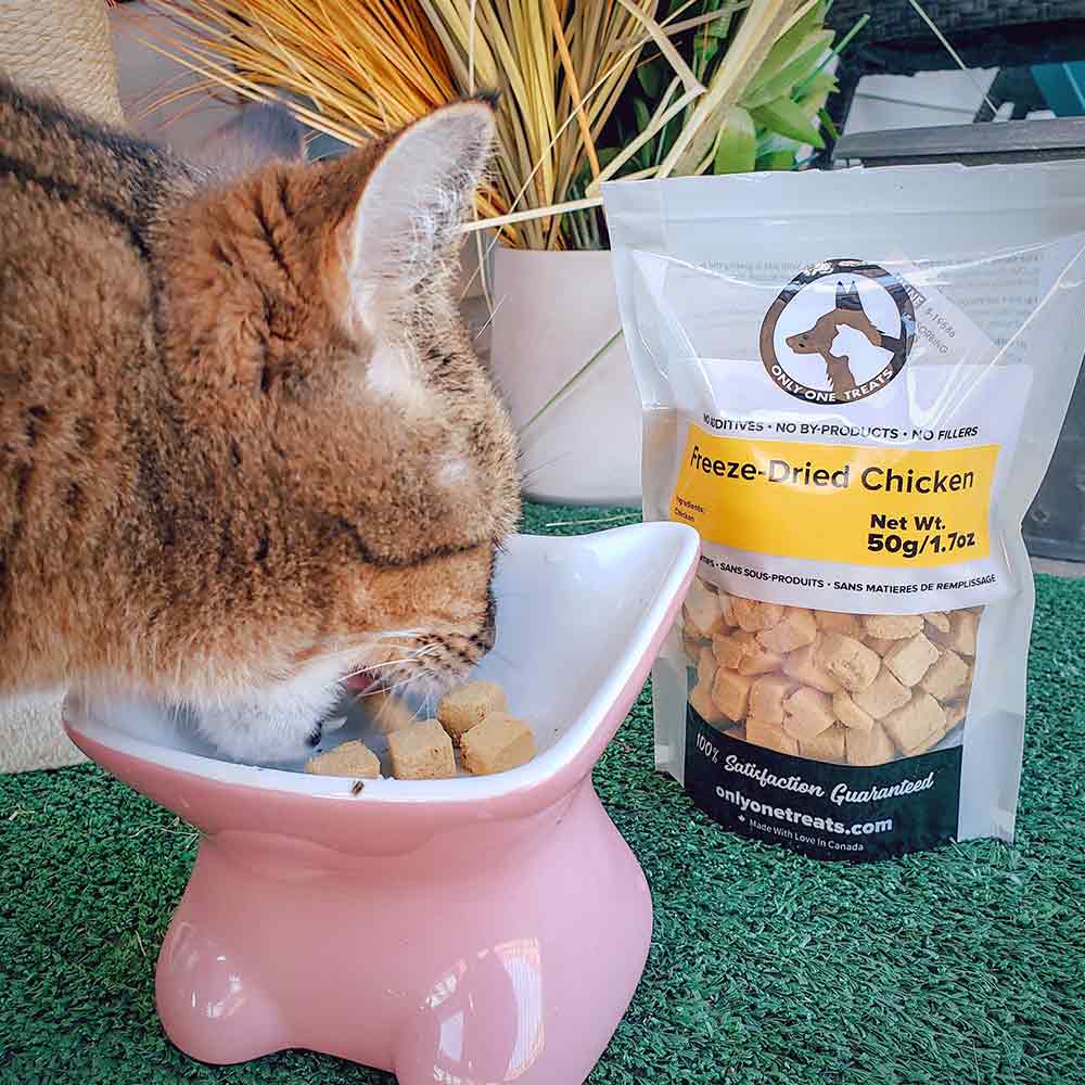 Freeze-Dried Chicken 50g - Only One Treats