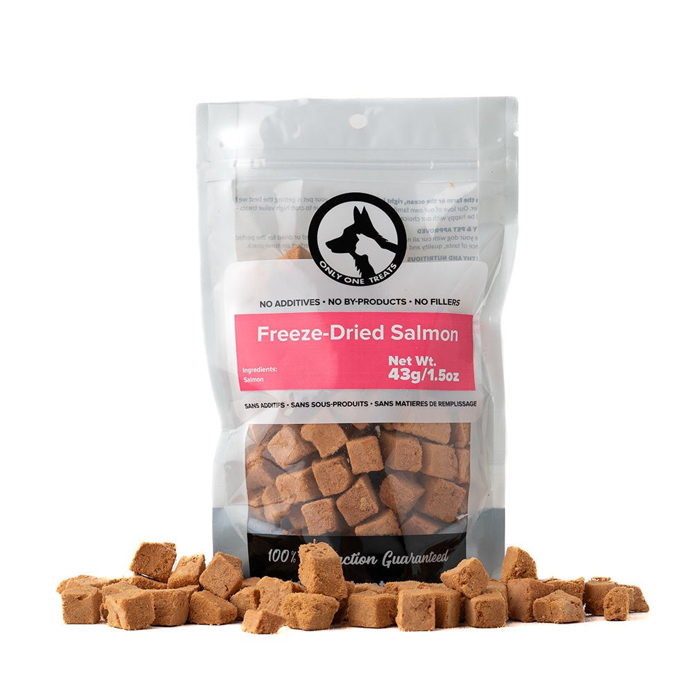Freeze-Dried Salmon 43g - Only One Treats