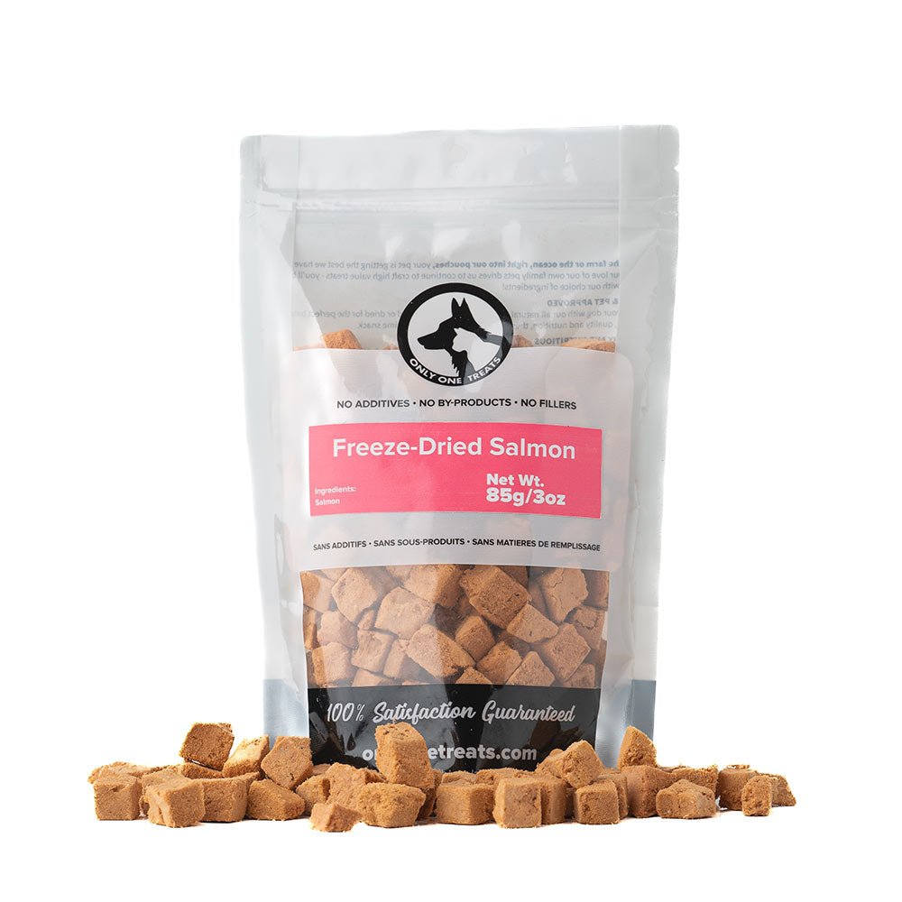 Freeze-Dried Salmon 85g - Only One Treats