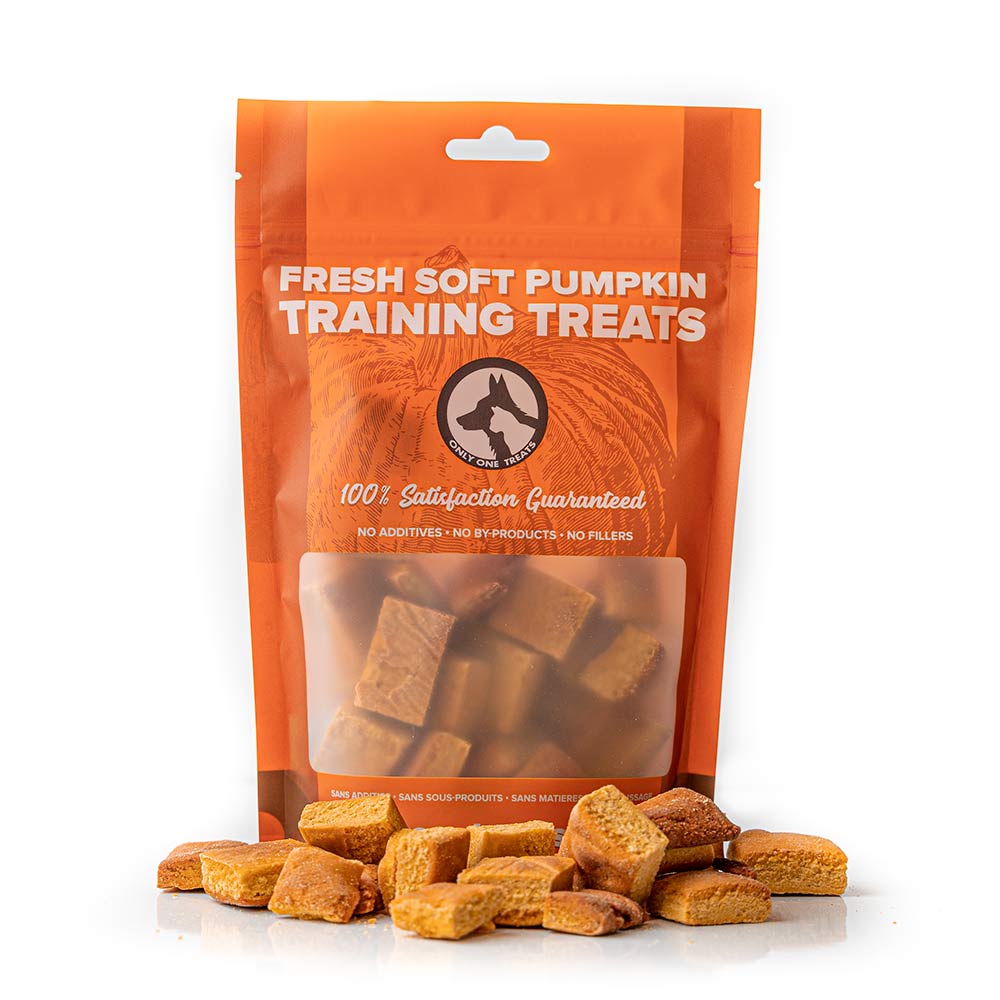 Fresh Soft Pumpkin Training Treats 170g - Only One Treats