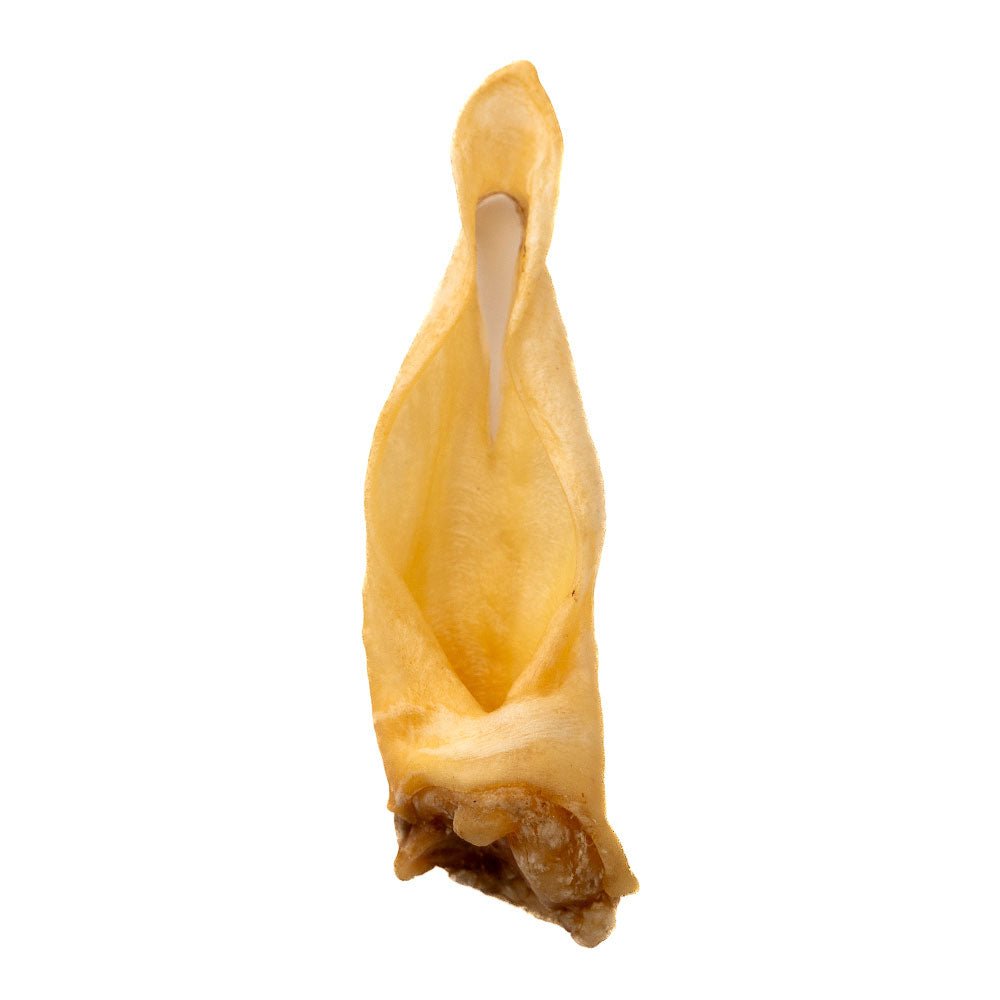 Ear Chews