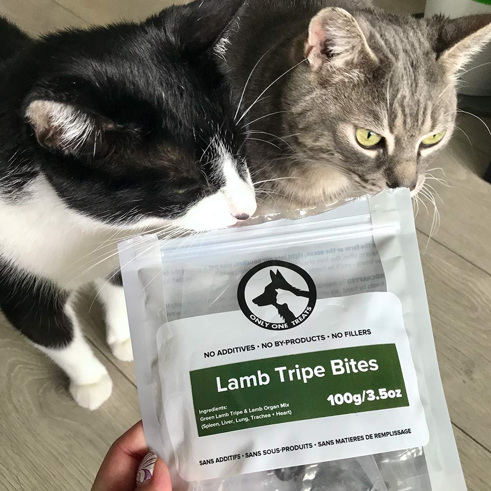 Lamb Tripe Bites 100g - Only One Treats