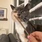 Silvervine Cat Treat Sticks Pack of 25 - Only One Treats